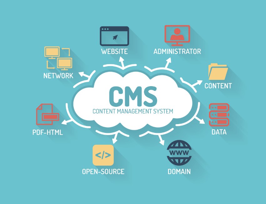 CMS